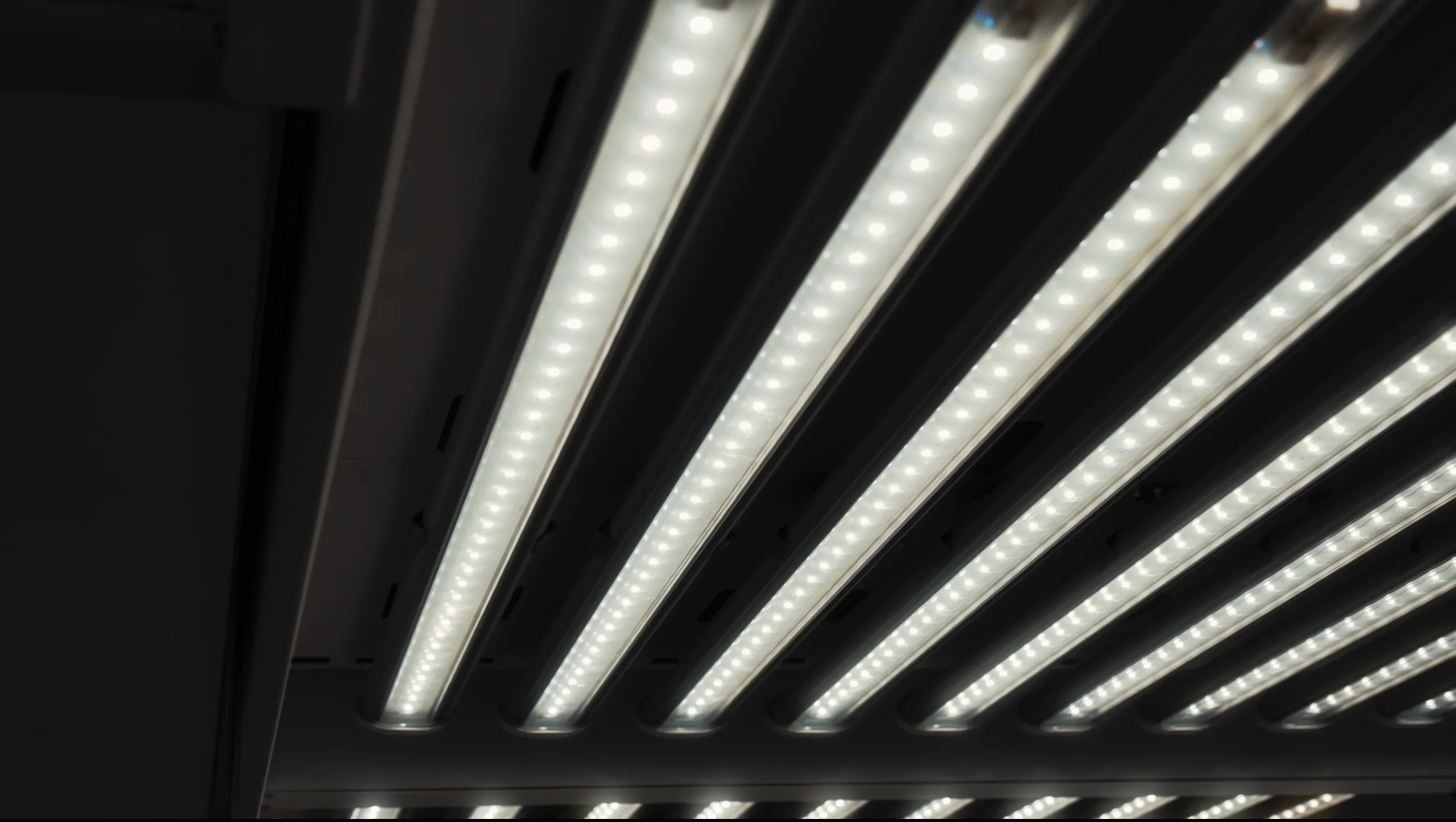 HEPIA Genève : 12 chambres climatiques sous LED horticole F.O.G