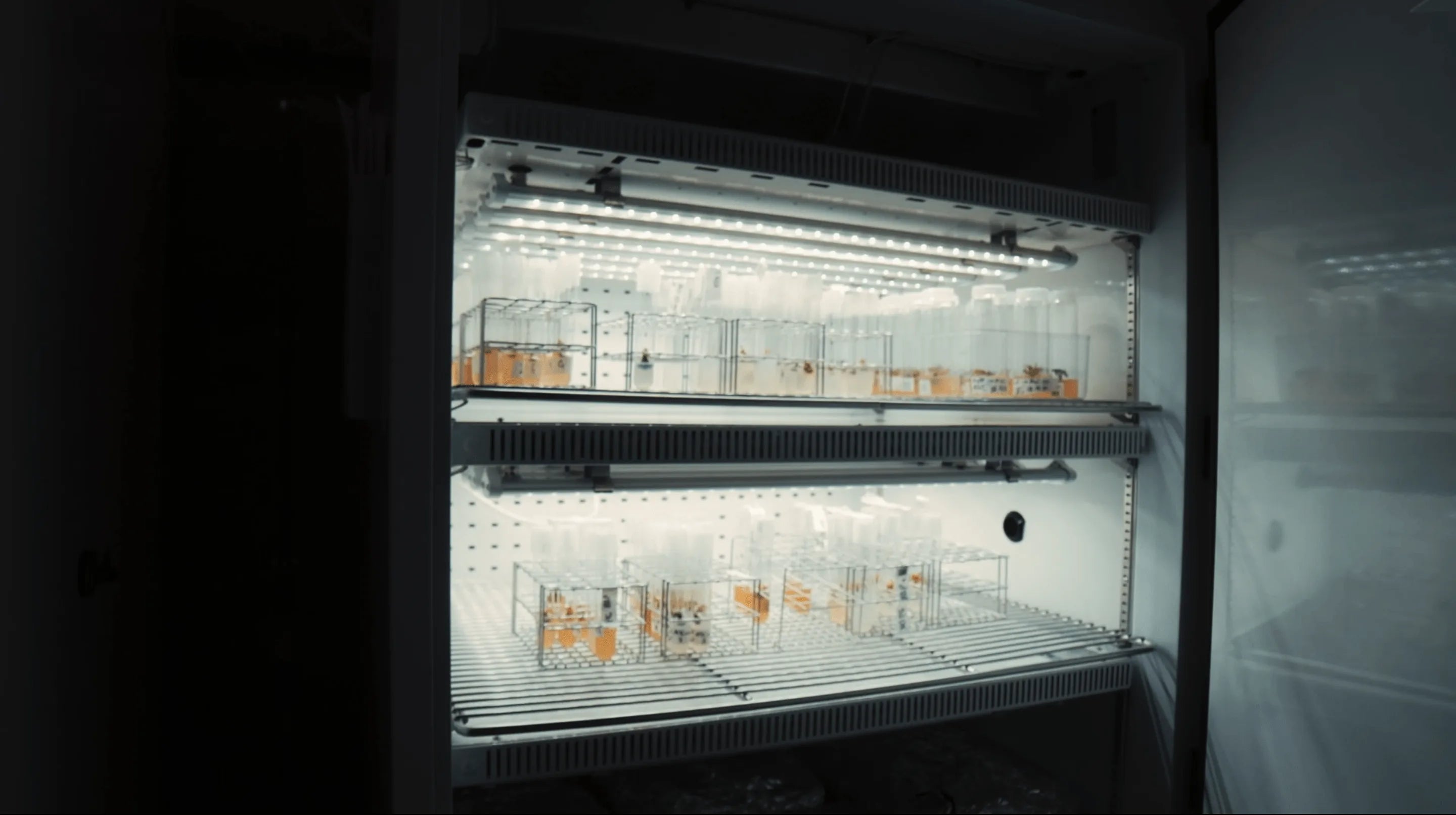 HEPIA Genève : chambre climatique PERSIVAL équipée LED F.O.G