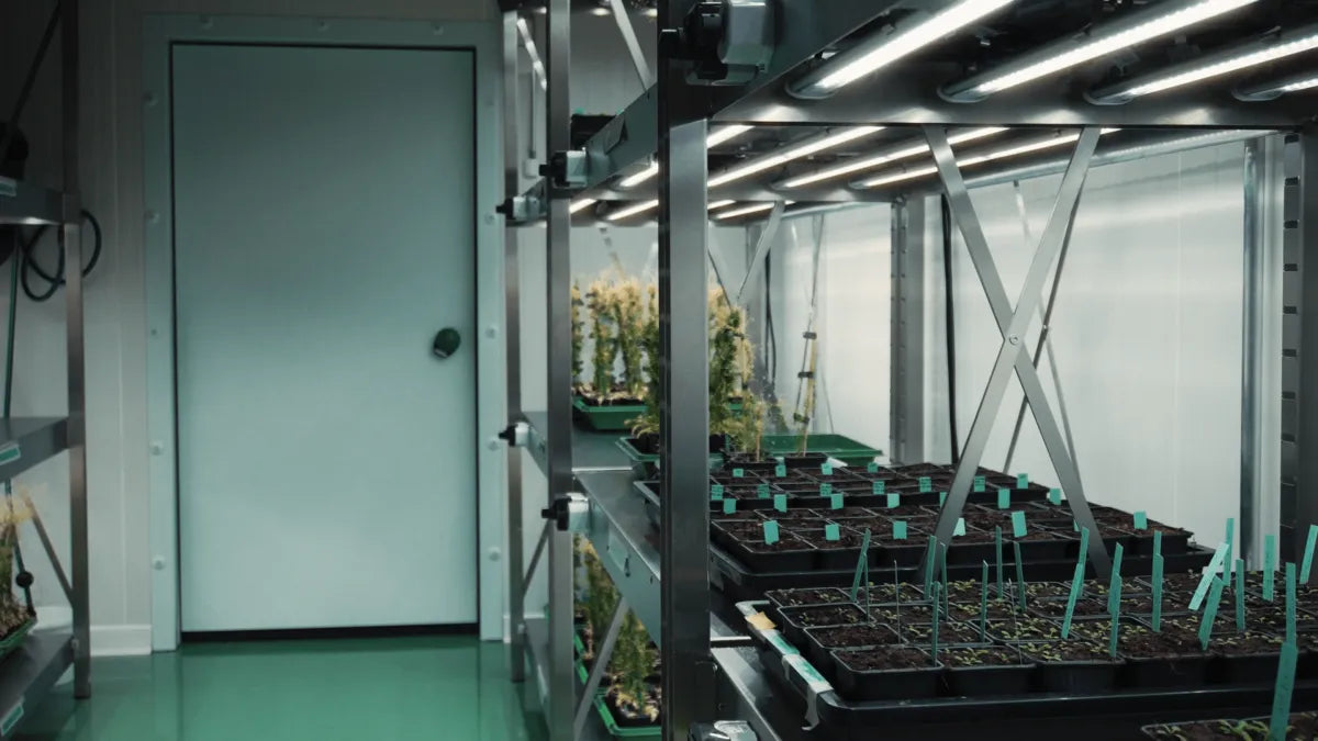 UNIGE Ginebra: cámara climática a medida F.O.G