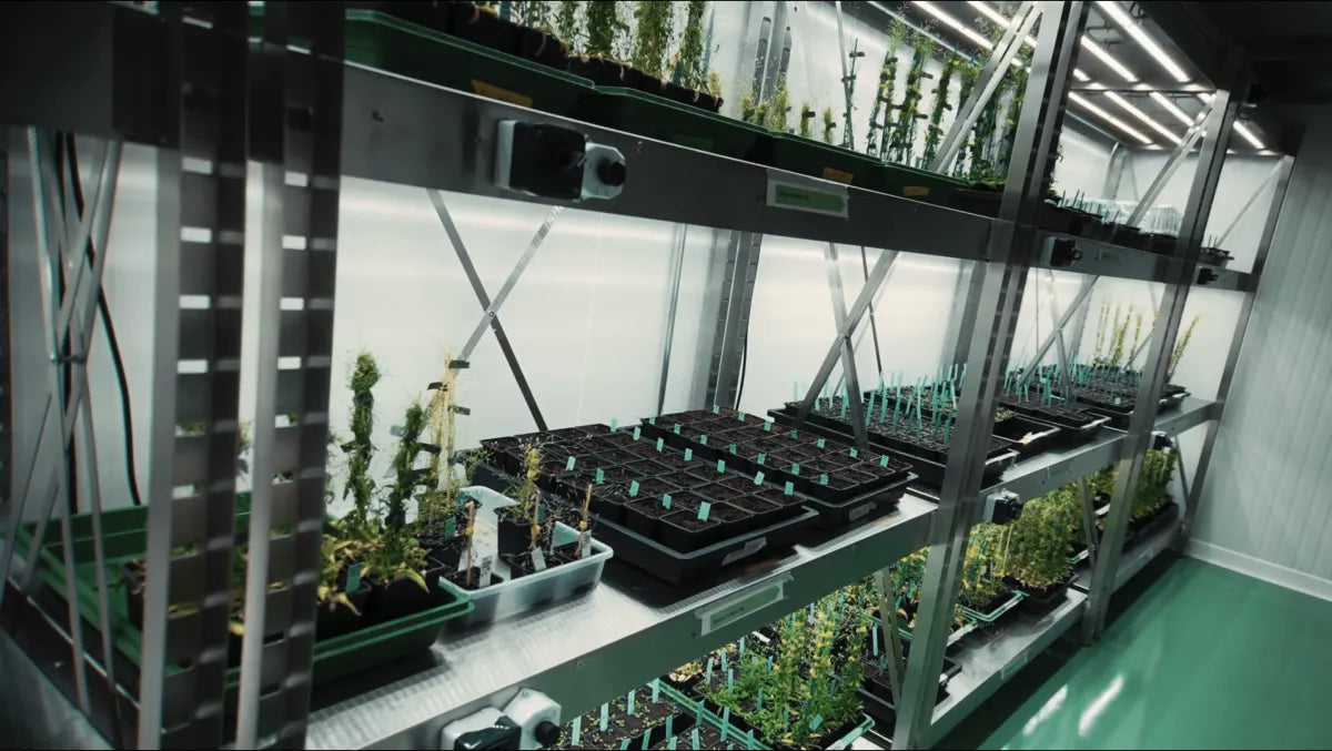 UNIGE Ginebra: 2 cámaras climáticas LED F.O.G a medida