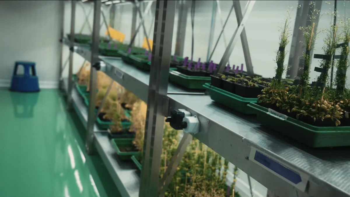 UNIGE Ginebra: 2 cámaras climáticas LED F.O.G a medida