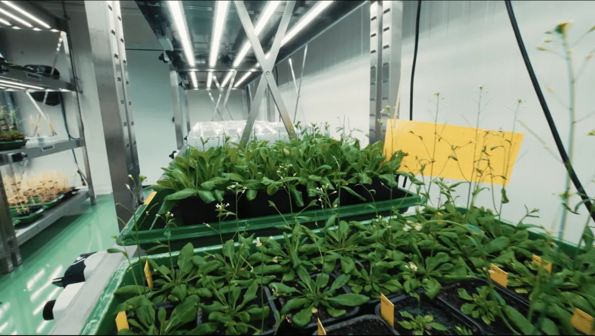 UNIGE Ginebra: 2 cámaras climáticas LED F.O.G a medida