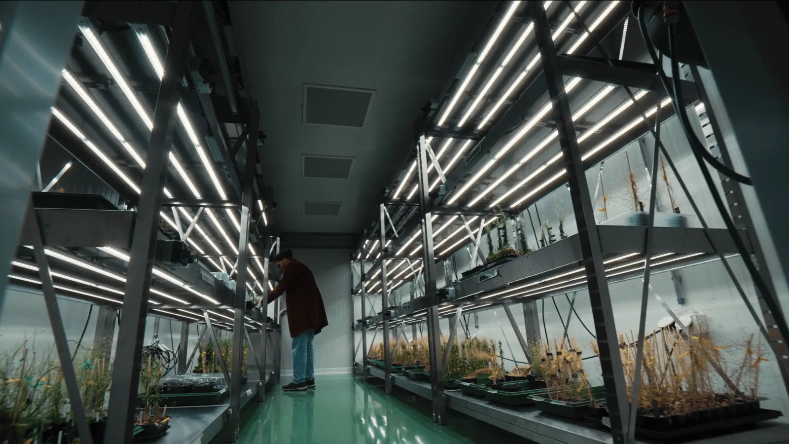 UNIGE Ginebra: estanterías de acero inoxidable a medida con LED hortícola F.O.G