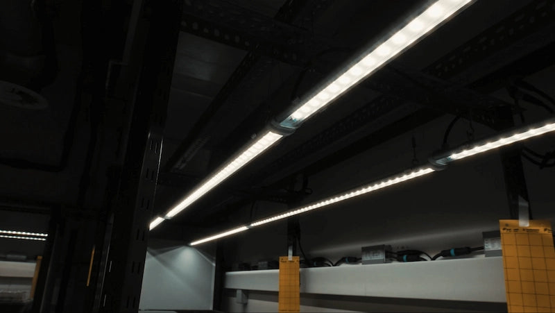 13 laboratoires UNIL DBMV équipés tubes LED F.O.G : -58% énergie