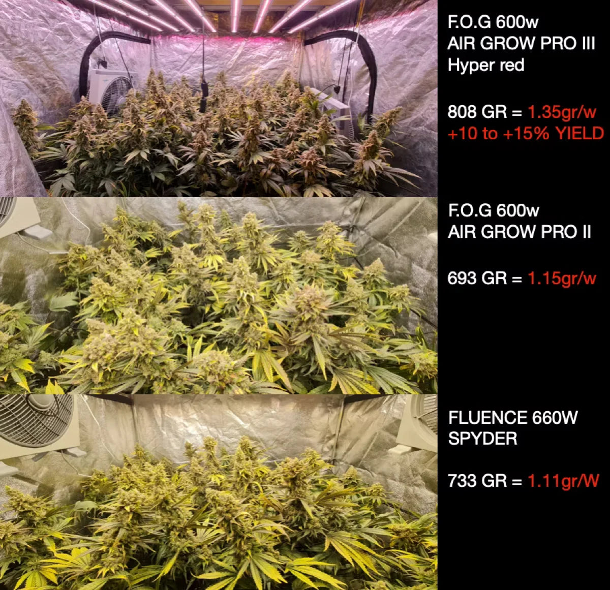 Comparatif LED F.O.G vs Fluence Spydr : essai Green Mind SA