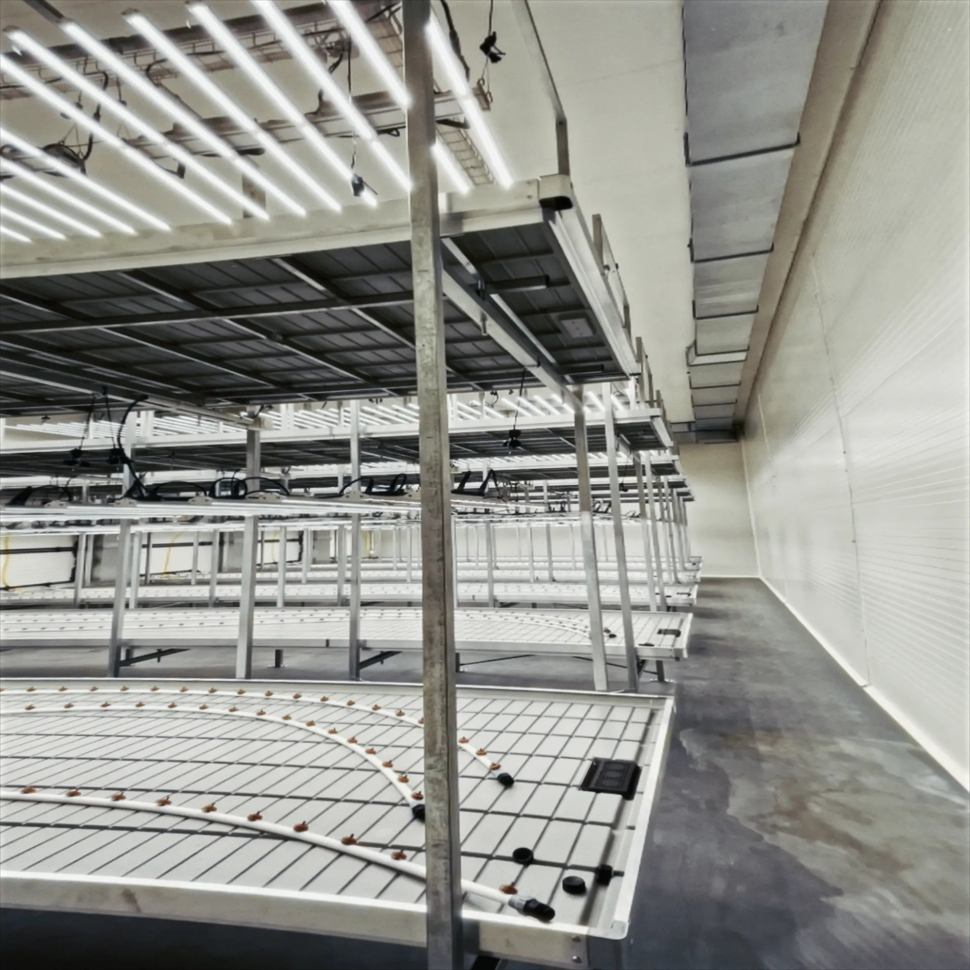 Serre de recherche UNIL Lausanne sous luminaires LED F.O.G