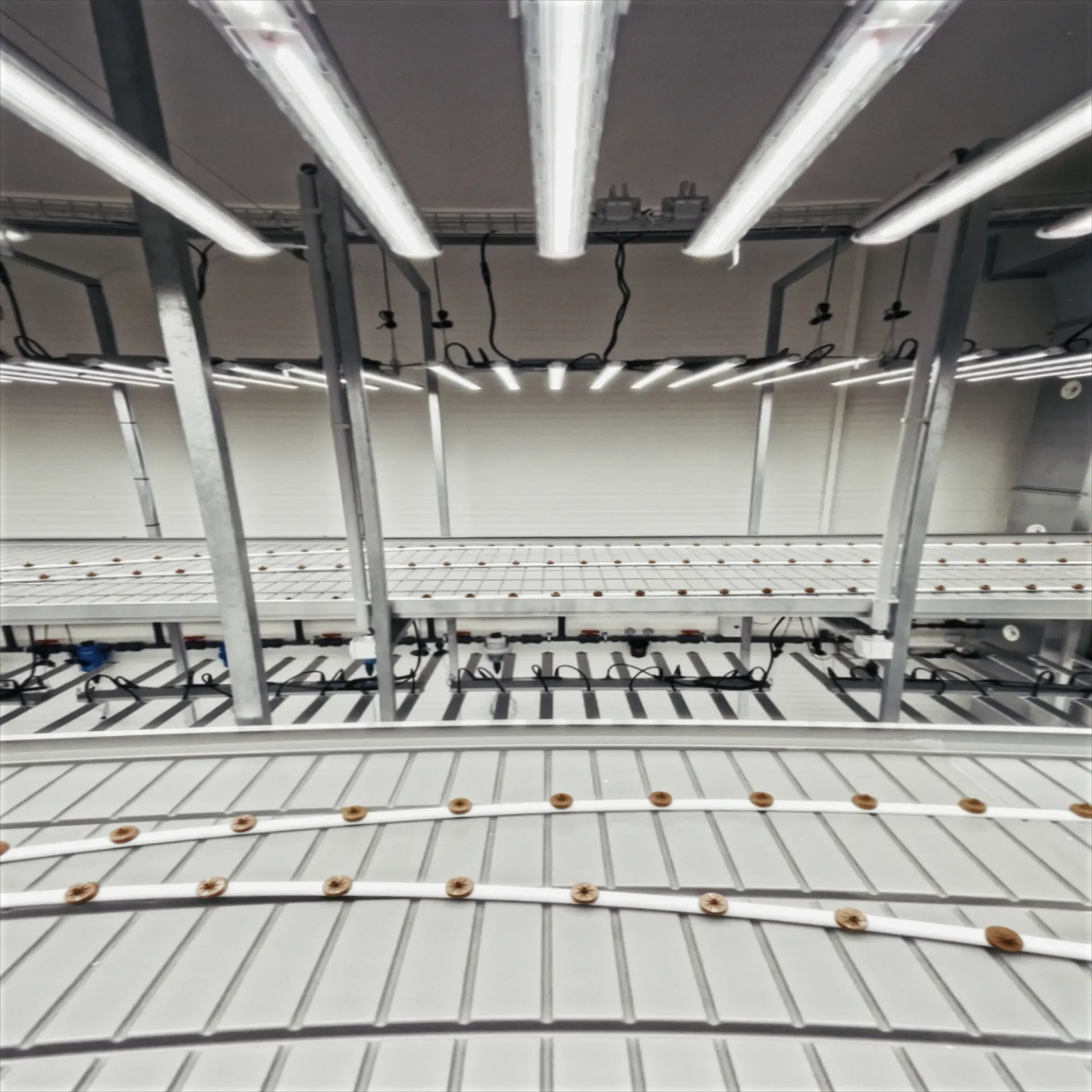 Installation LED horticole F.O.G dans serre UNIL Lausanne