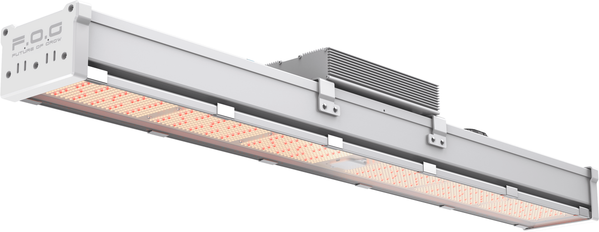 X-GROW BAR