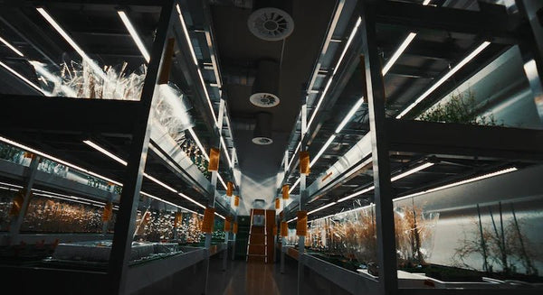 Éclairage intérieur