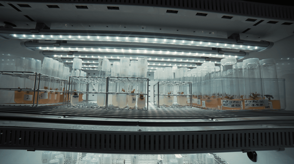 X - CLONE Sun Pro 30 - Default | Future Of Grow