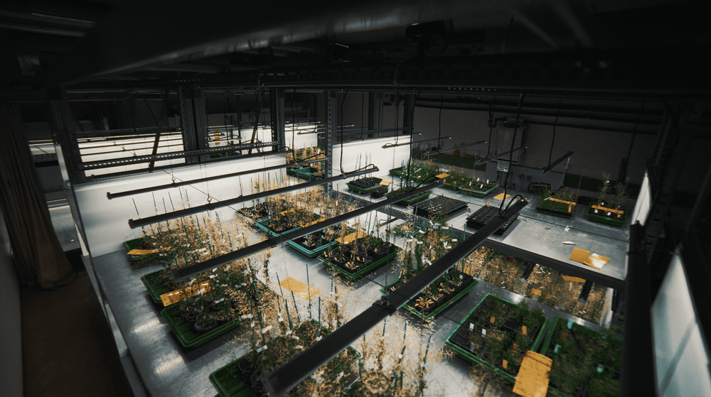 X - CLONE Sun Pro 60 - Default | Future Of Grow