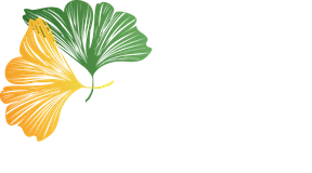 Ginkgo Paysage