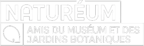Jardin botanique de Lausanne