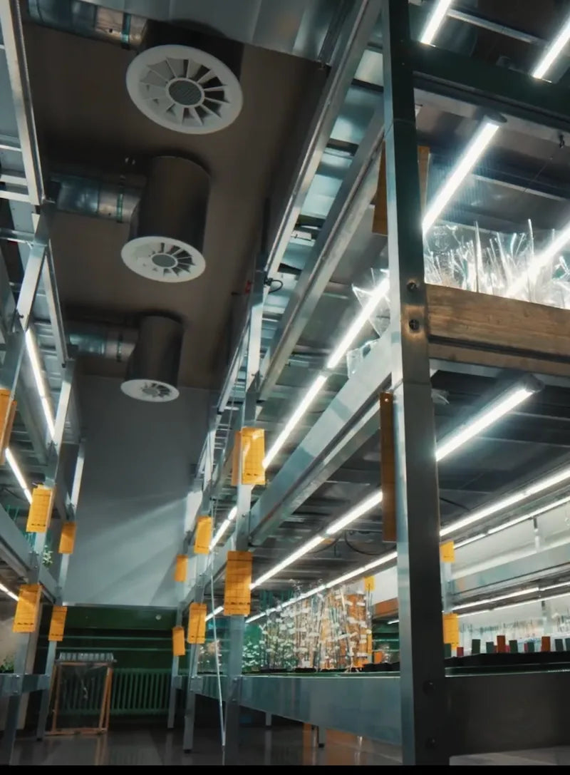 UNIL Lausanne : 13 laboratoires DBMV sous tubes LED F.O.G