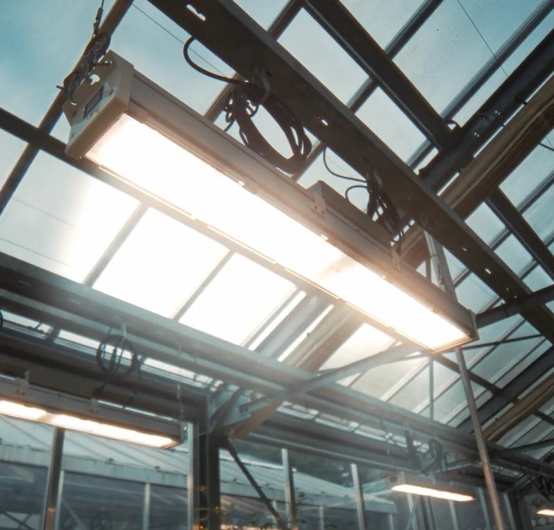 UNIL Lausanne : serre DBMV éclairée LED horticole F.O.G