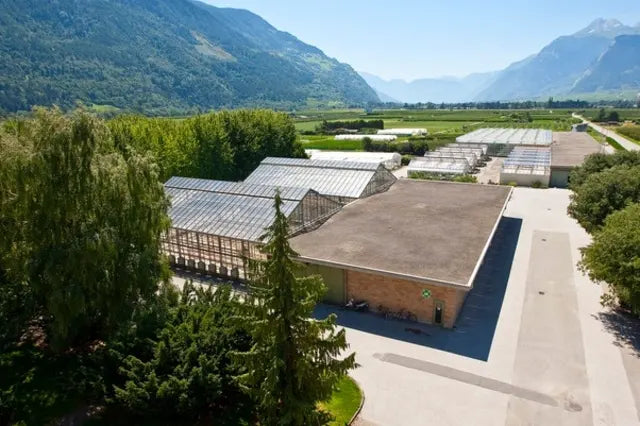 Agroscope Conthey : serres expérimentales