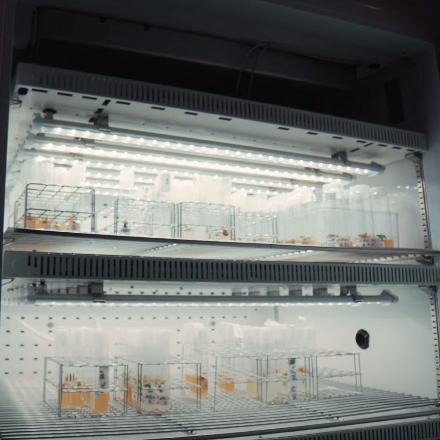 Laboratoire de recherche - éclairage custom FOG