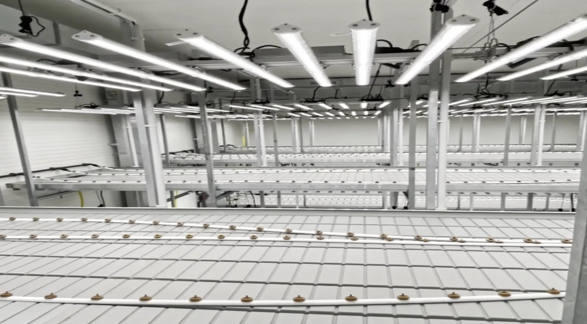 Serre de recherche UNIL Lausanne sous luminaires LED F.O.G