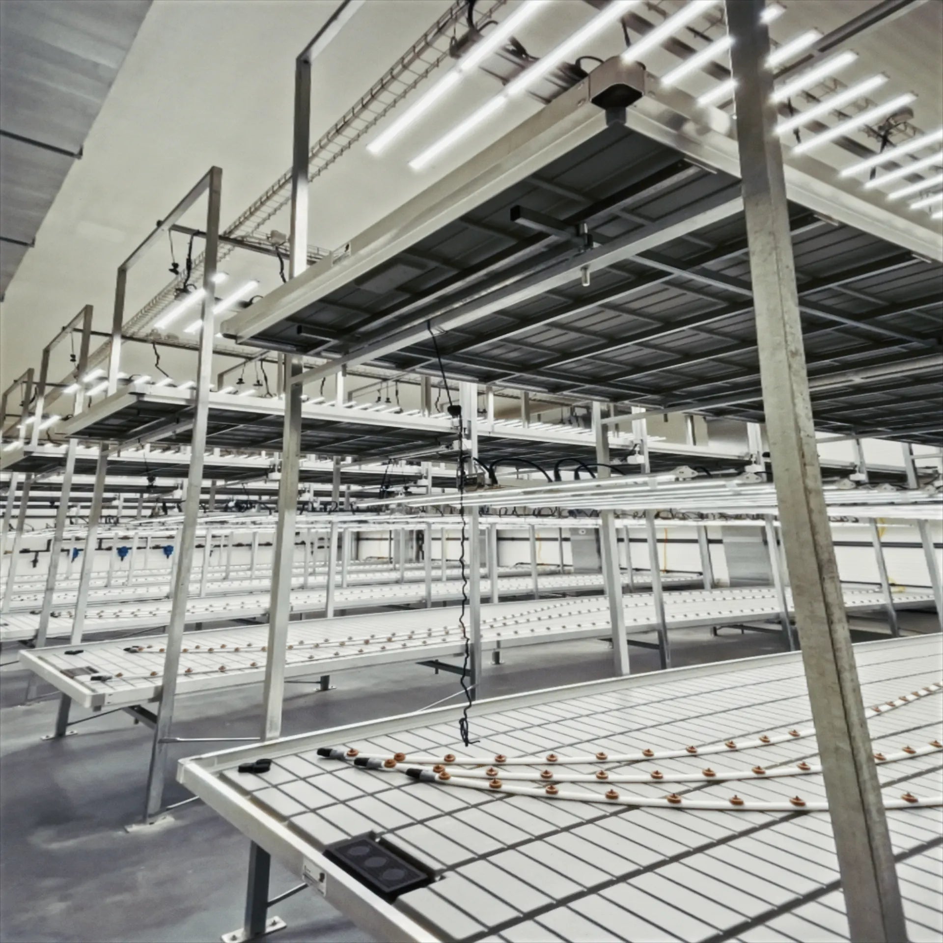 Serre de recherche UNIL Lausanne sous luminaires LED F.O.G