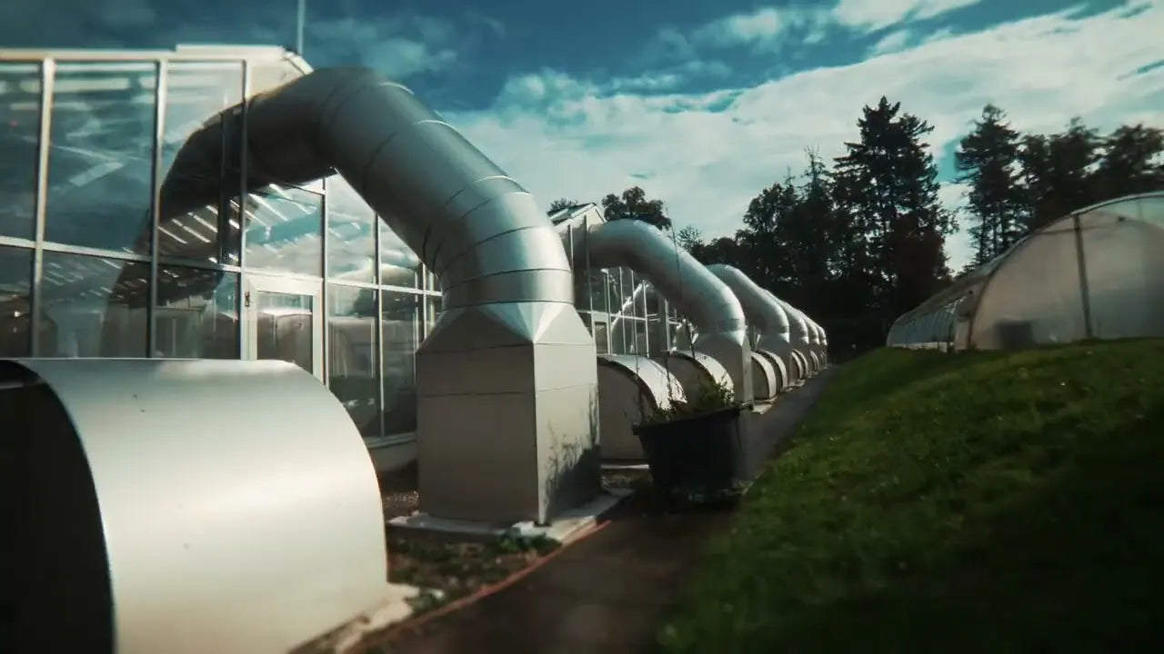 Video del progetto